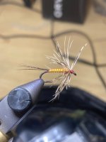 IMG_8466.jpeg