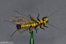 DSC_0088-edit 1.jpg