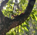 IMG_4471.jpeg