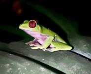 IMG_4420.jpeg