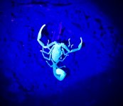 IMG_4419.jpeg