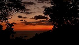 IMG_4380.jpeg