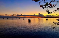 IMG_4372.jpeg