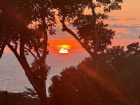 IMG_4335.jpeg