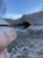 IMG_2950.jpeg