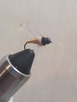 20240313_192541.jpg
