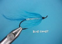 Blue Comet.jpg