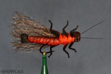 DSC_0085-edit 1.jpg