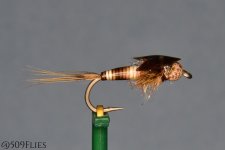 DSC_0080-edit 1.jpg