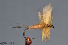 DSC_0062-edit 1.jpg