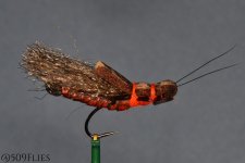 DSC_0083-edit 1.jpg