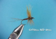 Catskill Red Quill.jpg