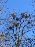 IMG_3919.jpeg