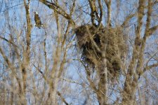 B8BC5918-9D25-4013-B716-1BB399F18B1C.jpeg