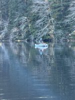 IMG_6709.jpeg IMG_6709.jpeg