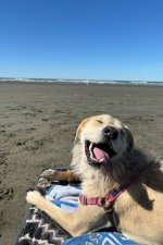 IMG_9576.jpeg