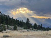 IMG_8059.jpeg