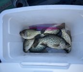 IMG_3596.jpeg IMG_3596.jpeg