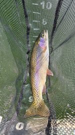 20240308_122758.jpg