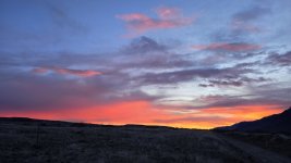 20240303_063134.jpg