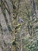 IMG_0345.jpeg