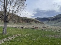 IMG_3082.jpeg