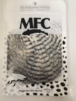 IMG_6812.jpeg