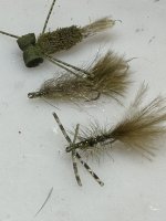 IMG_2640.jpeg