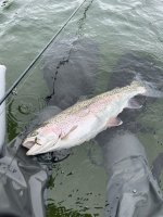 IMG_2636.jpeg