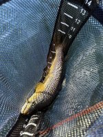 IMG_2624.jpeg