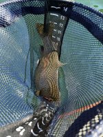 IMG_2625.jpeg