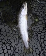 IMG_6819.jpeg