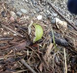 IMG_6842.jpeg