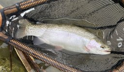 IMG_3702.jpg