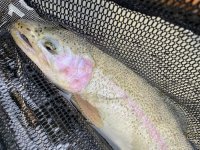 IMG_3704.jpg