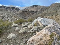 IMG_1492.jpeg