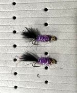 Borrachio Leech.jpg