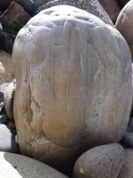 DSCF2114.JPG DSCF2114.JPG