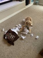 IMG_1697.jpeg