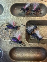 IMG_1192.jpeg