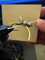 IMG_0572.jpeg