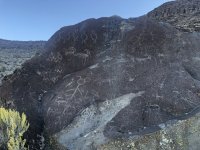 IMG_9245.jpeg