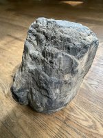 IMG_3095.jpeg