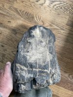 IMG_3097.jpeg