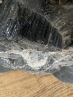 IMG_3099.jpeg