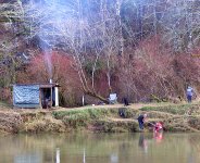 steelheadchhh2016.jpg