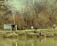 steelheadchhh20166iii.jpg
