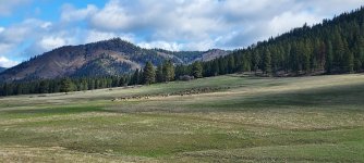 Elk.jpg