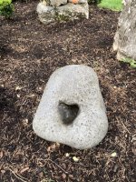 IMG_1438.jpeg