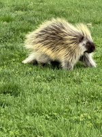 IMG_2659.jpeg